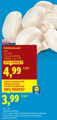 Polskie pieczarki promocja w Lidl