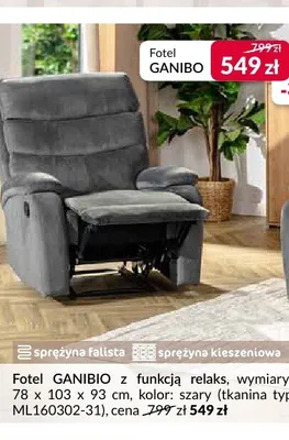 Fotel Ganibo promocja w Salony Agata