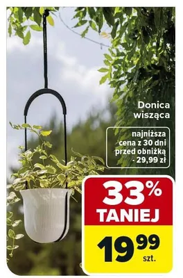 Donica wisząca promocja w Carrefour