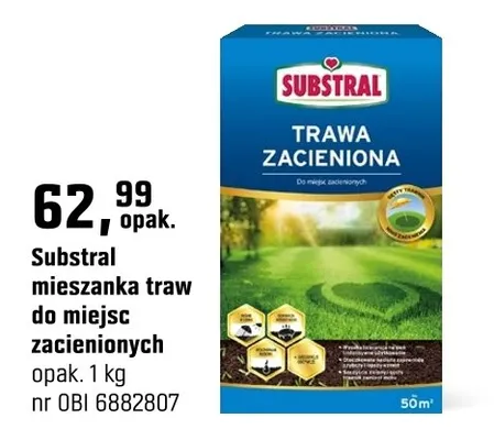 Mieszanka traw do miejsc zacienionych promocja w OBI