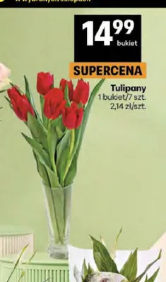 Tulipany promocja w Delikatesy Centrum