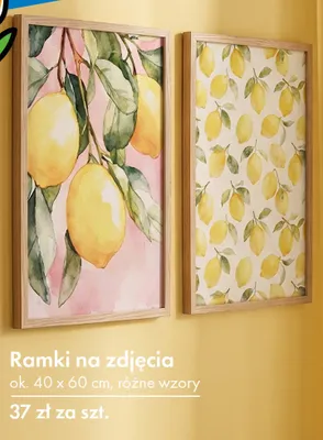 Ramki na zdjęcia TEDi 40x60 cm promocja w Tedi