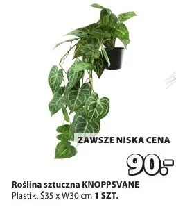 Roślina sztuczna Knoppsvane plastik promocja w Jysk