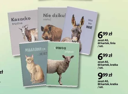 Zeszyt A5 ze zwierzętami i napisami 80 kartek kratka promocja w Empik