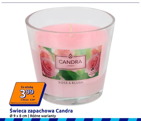 Świeca zapachowa Candra promocja w Action