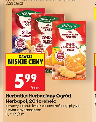 Herbatka Herbaciany Ogród Herbapol śliwka z cynamonem promocja w Biedronka