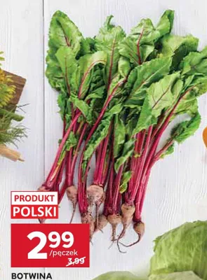 Botwina promocja w Stokrotka