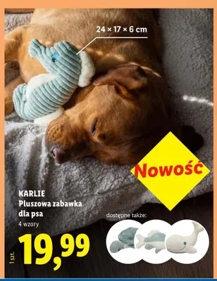 Pluszowa zabawka dla psa KARLIE promocja w Lidl