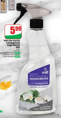 Płyn do mycia i pielęgnacji nagrobków Mill promocja w Dino