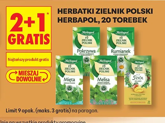 Herbata Herbapol Zielnik Polski Pokrzywa 20 torebek promocja w Biedronka