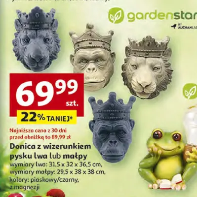 Donica z wizerunkiem pysku lwa lub małpy promocja w Auchan