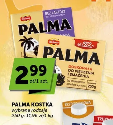 Palma kostka Bielmar promocja w Euro Sklep