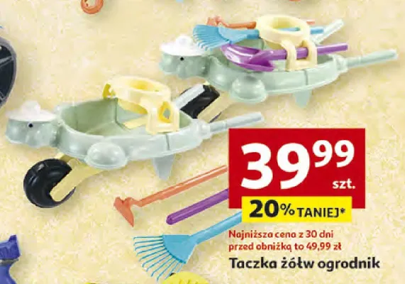 Taczka żółw ogrodnik promocja w Auchan