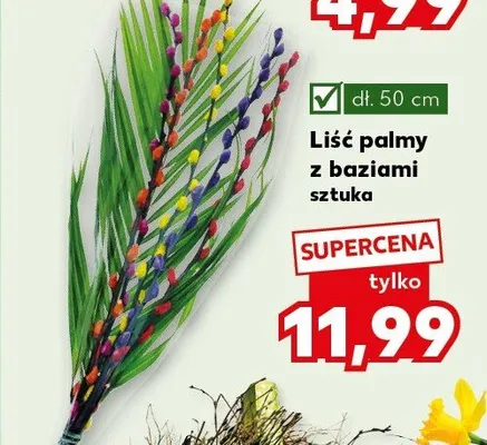 Liść palmy z baziami sztuka promocja w Kaufland