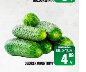 Ogórek gruntowy promocja w Tomi Markt