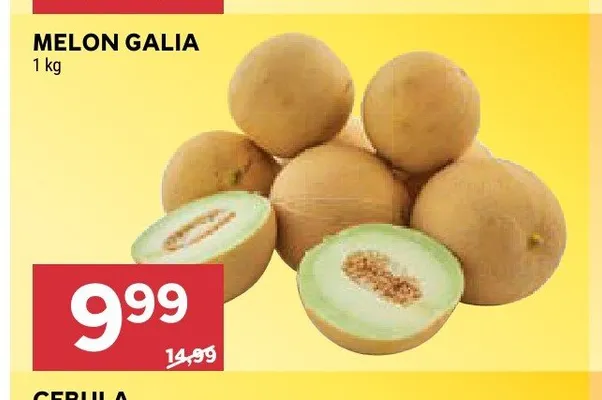 Melon galia promocja w Stokrotka