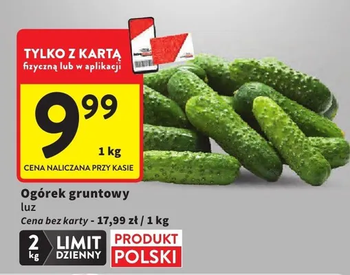Ogórek gruntowy luz promocja w Intermarche