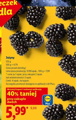 Jeżyny promocja w Lidl