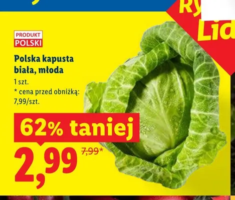 Polska kapusta biała młoda promocja w Lidl