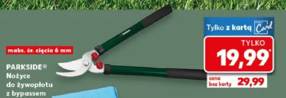 Nożyce do żywopłotu z bypassem promocja w Kaufland
