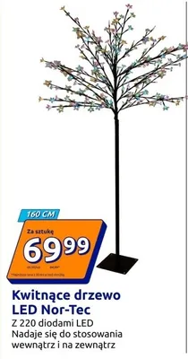 Kwitnące drzewo LED promocja w Action