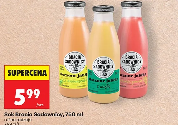 Napój niegazowany Lipton Green 330 ml promocja w Biedronka