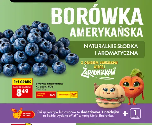Borówka amerykańska XL promocja w Biedronka