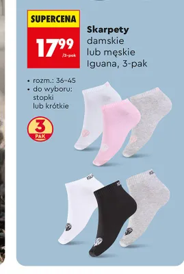 Skarpety damskie lub męskie Iguana promocja w Biedronka