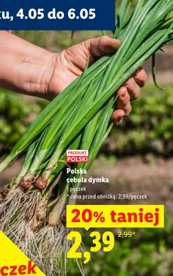 Cebula dymka polska promocja w Lidl