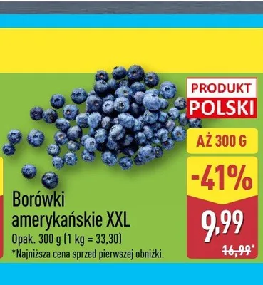 Borówki amerykańskie XXL promocja w Aldi