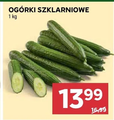 Ogórki szklarniowe promocja w Stokrotka