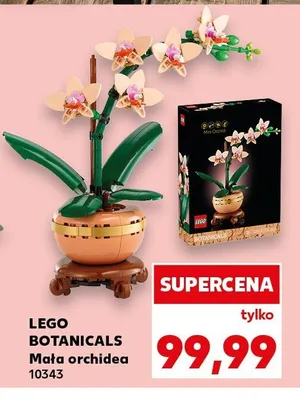 Klocki LEGO Botanicals Mała orchidea 10343 promocja w Kaufland