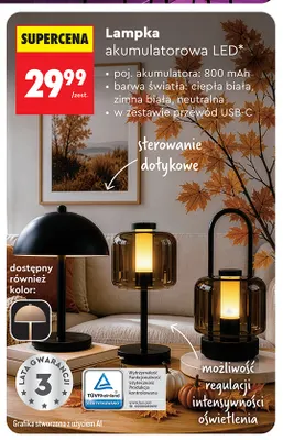 Lampka akumulatorowa LED Lethe promocja w Biedronka