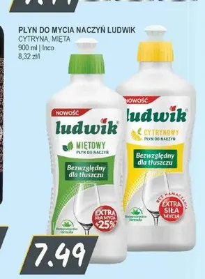 Płyn do mycia naczyń Ludwik miętowy promocja w Słoneczko