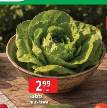 Sałata masłowa promocja w Leclerc