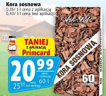 Kora sosna promocja w Prim Market