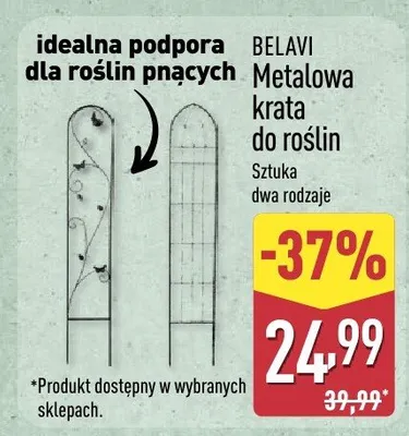 Metalowa krata do roślin Belavi promocja w Aldi