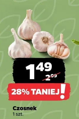 Czosnek 1 szt. promocja w Netto
