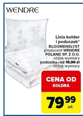Kołdra i poduszek BLOOMENSLYST różne wymiary poduszka - od 16,99 zł różne wymiary promocja w Carrefour