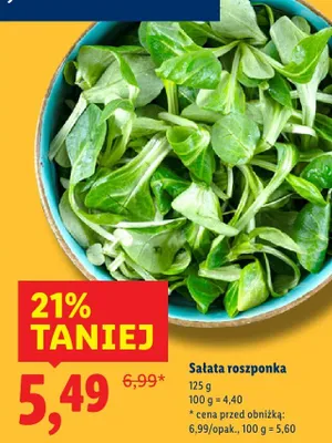 Sałata roszponka Lidl promocja w Lidl