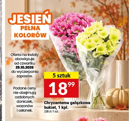 Chryzantema gałązkowa bukiet promocja w Twój Market