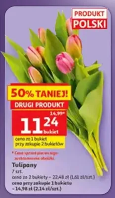 Tulipany polskie promocja w Auchan