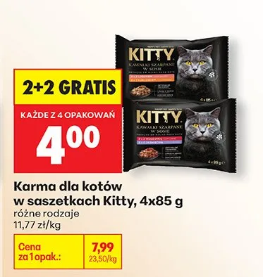 Karma dla kotów w saszetkach różne rodzaje promocja w Biedronka