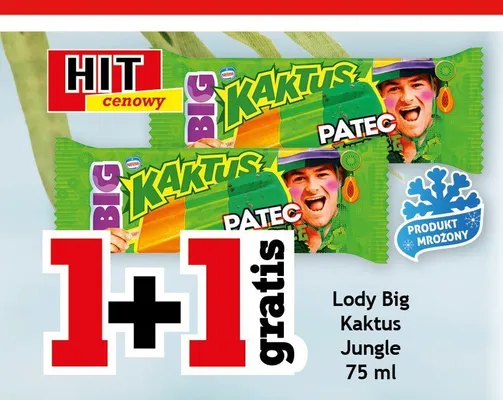Lody Big Kaktus Jungle promocja w Gram Market