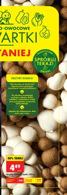 Grzyby shimeji promocja w Biedronka
