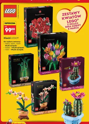 Klocki promocja w Biedronka