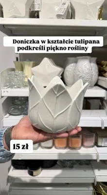Doniczka w kształcie tulipana  promocja w Pepco