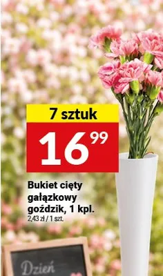 Bukiet cięty gałązkowy goździk promocja w Twój Market
