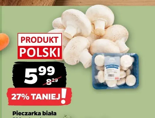 Pieczarka biała promocja w Netto