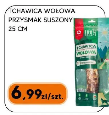 Przysmak dla psa tchawica wołowa suszona Maced 25 cm promocja w HIPPER.pl
